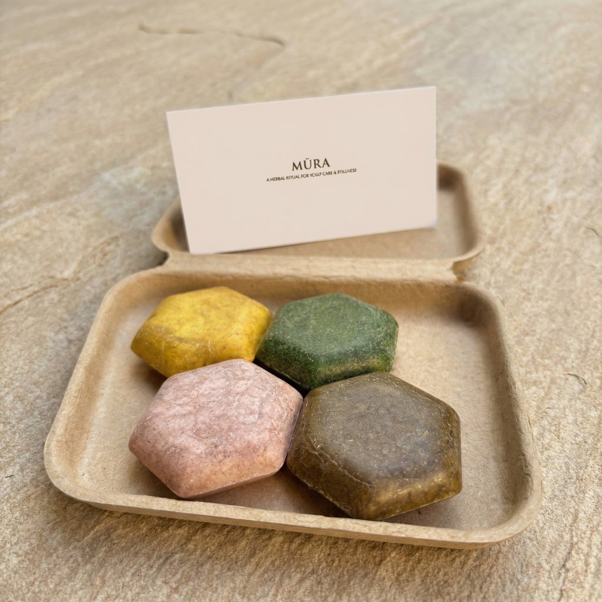 DISCOVERY SET SHAMPOO BAR COLLECTION